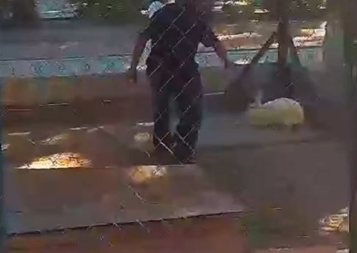 Ребенок забежал в вольер к животным в зоопарке Шымкента