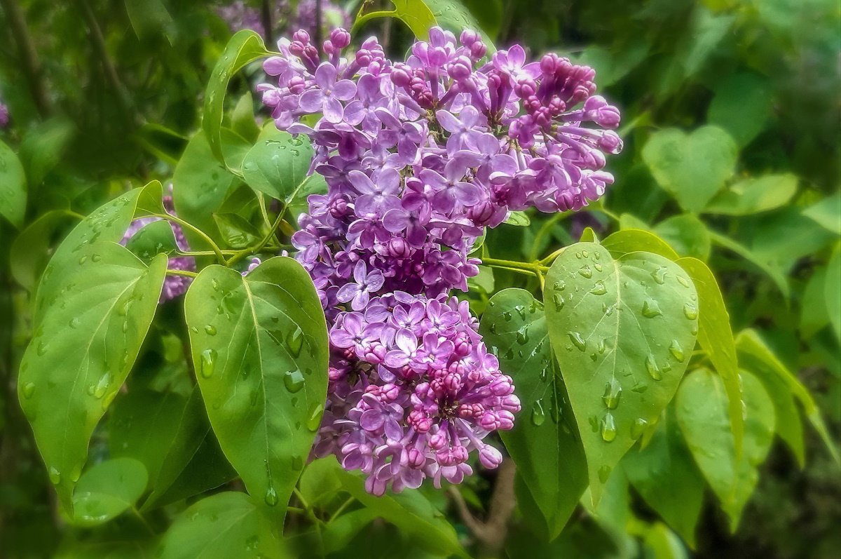 Алматинцев предупредили о резком ухудшении погоды