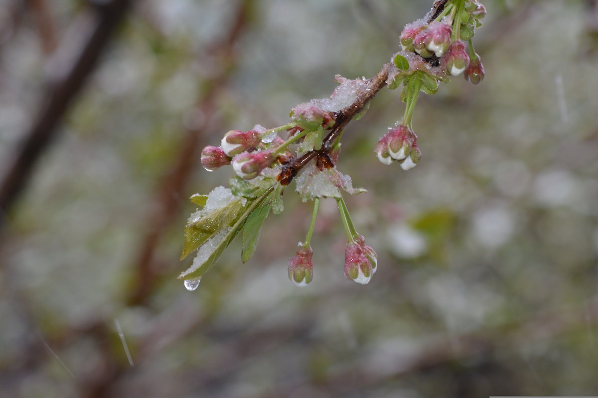 Дождь с переходом в снег, гололед: погода в Астане 16 апреля