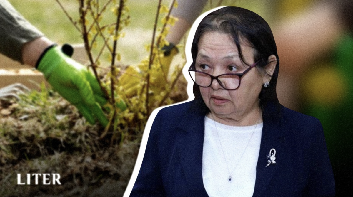 Цифровой учет вместо "слепого" озеленения: как в Мангистау пытаются спасти города от засушливого климата