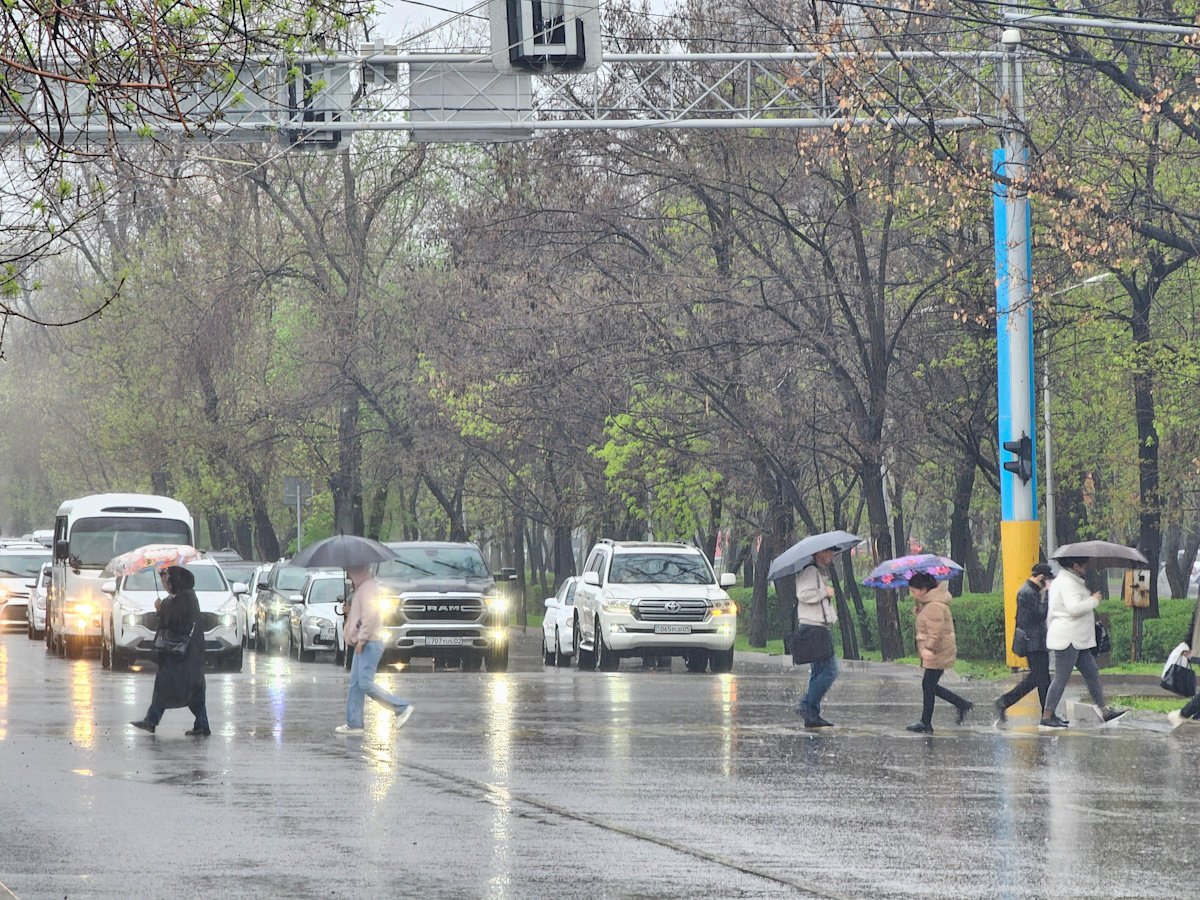 Мощный ливень накроет Алматы