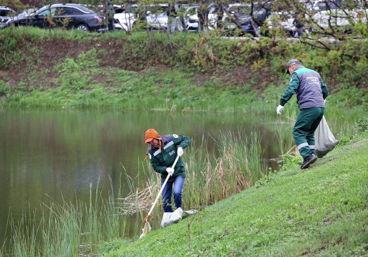 Прибрежные зоны рек очистили в Алматы