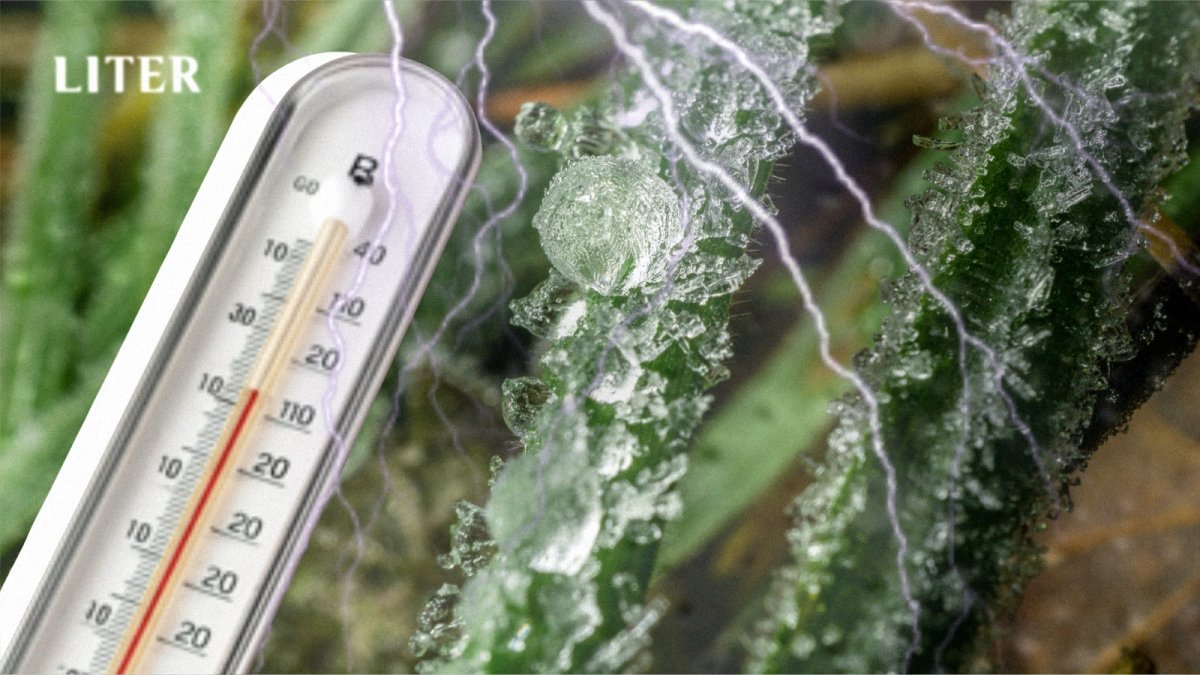 Дожди, грозы и ветер: Казахстан накроет неустойчивая погода