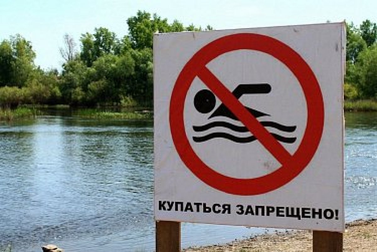 Пляжи под контролем: усилена подготовка к купальному сезону