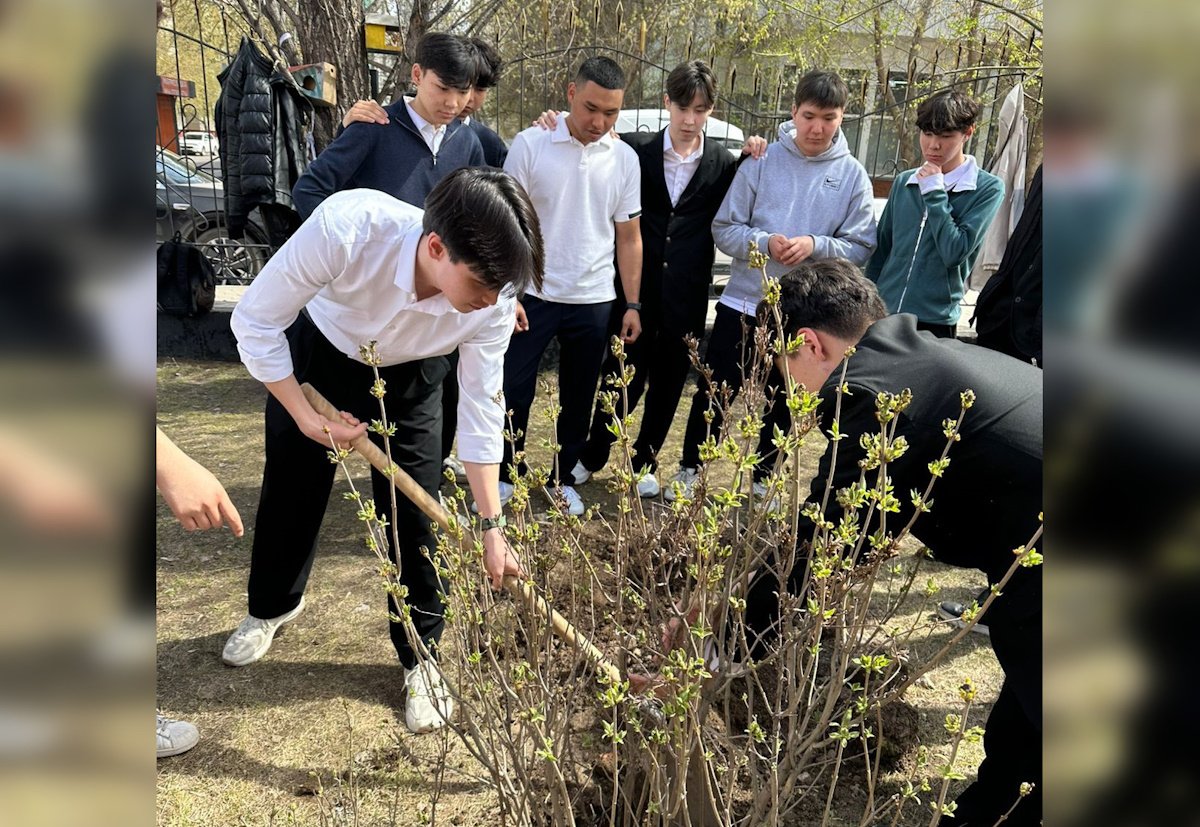 Сирень на память