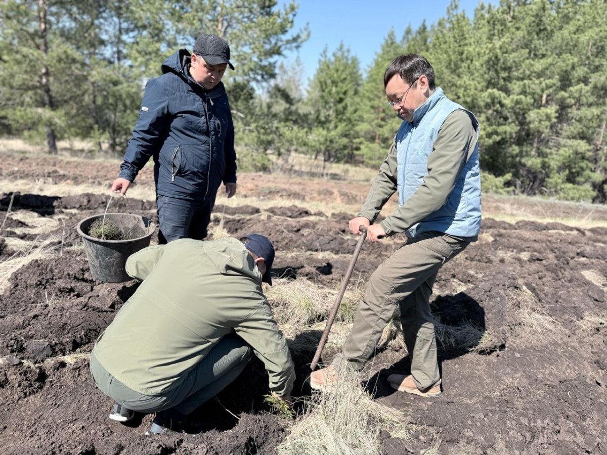 Акция "Таза бейсенбі" формирует новое отношение к природе