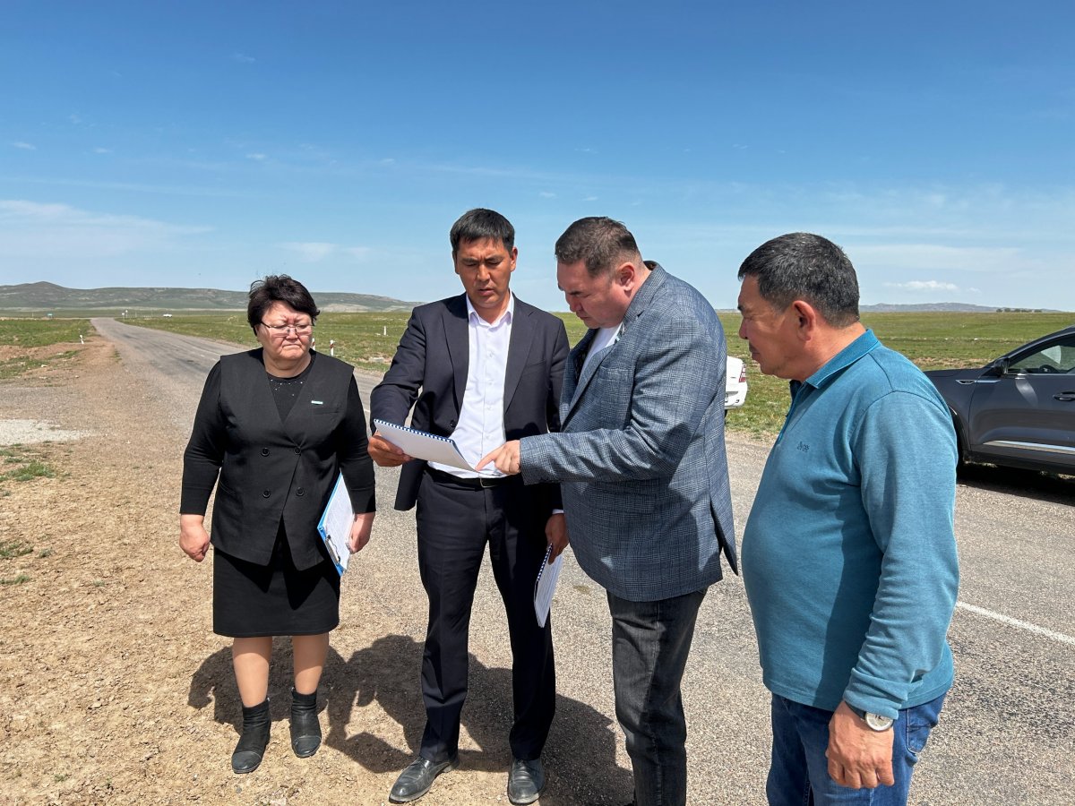 Партия AMANAT взяла на контроль проблему песчаных заносов в Жетысу