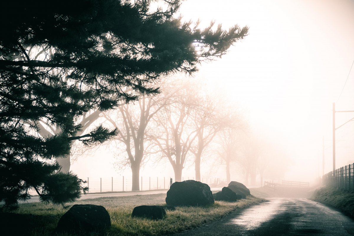 Туман и пыльная буря ожидаются в Казахстане 25 апреля