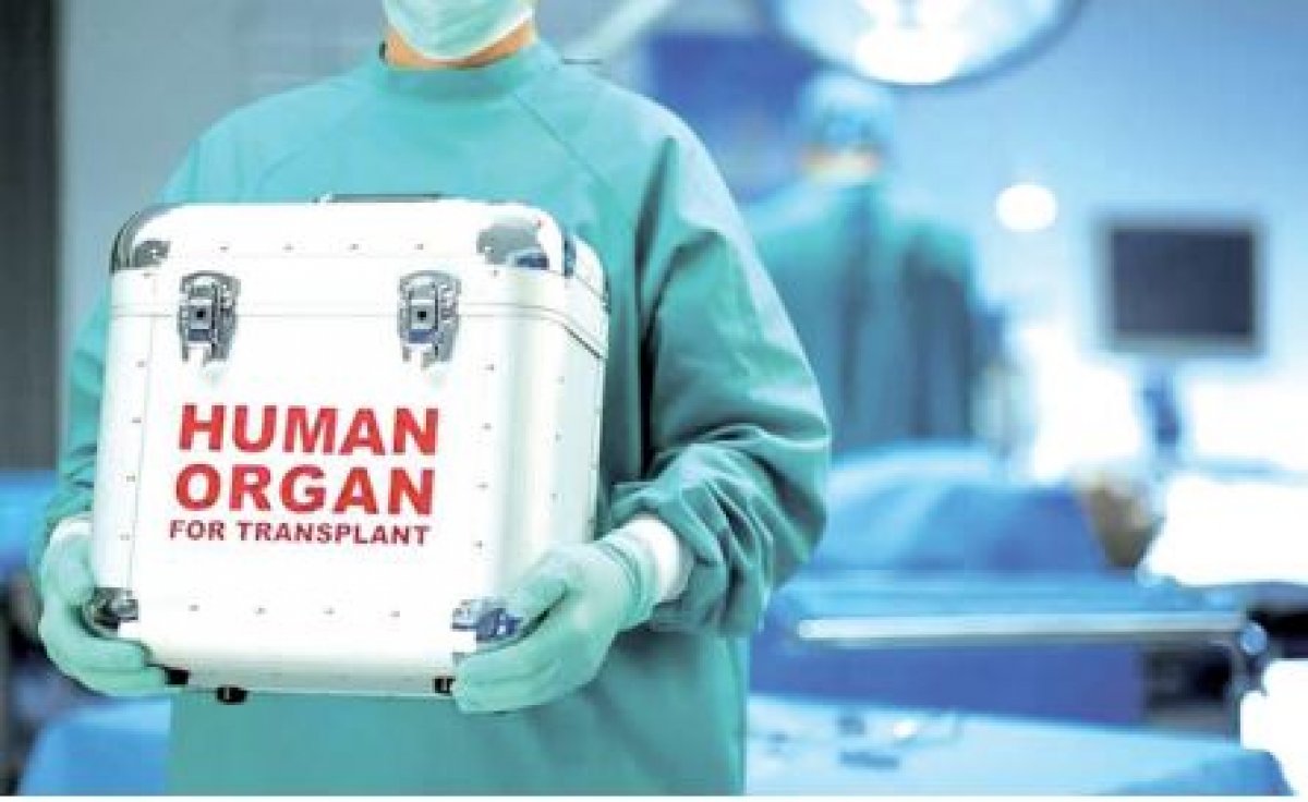 Очередь за жизнью