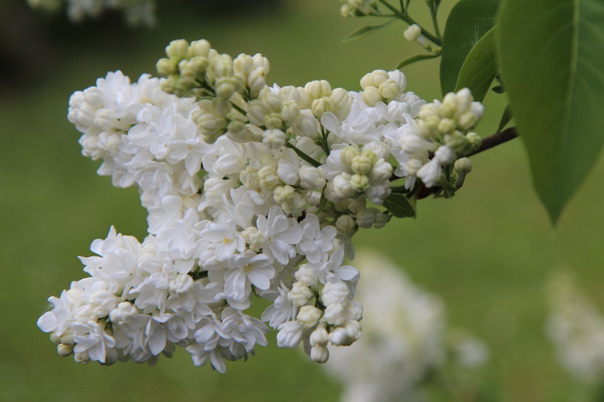 Пожарная опасность и заморозки: какая погода ожидается в Казахстане 29 апреля