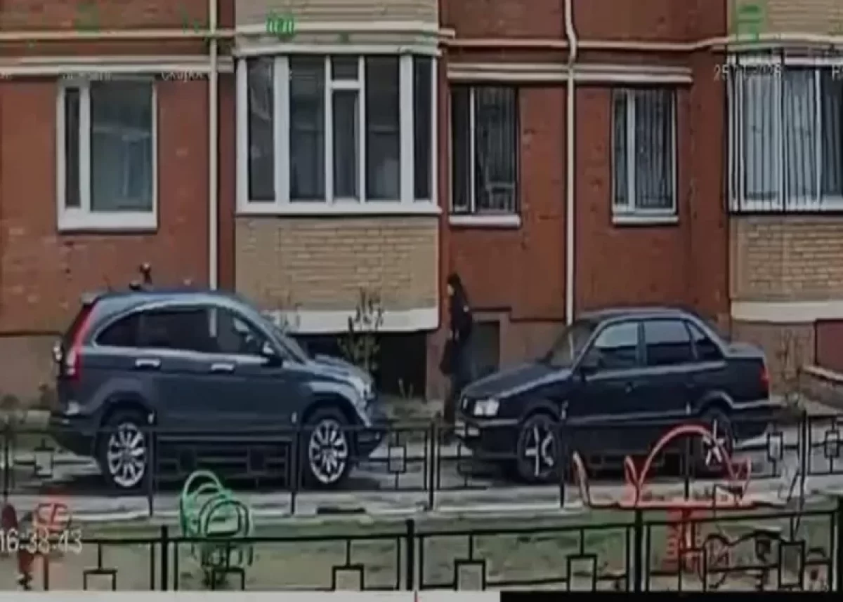 Мужчина напал на прохожую в Костанае (ВИДЕО)