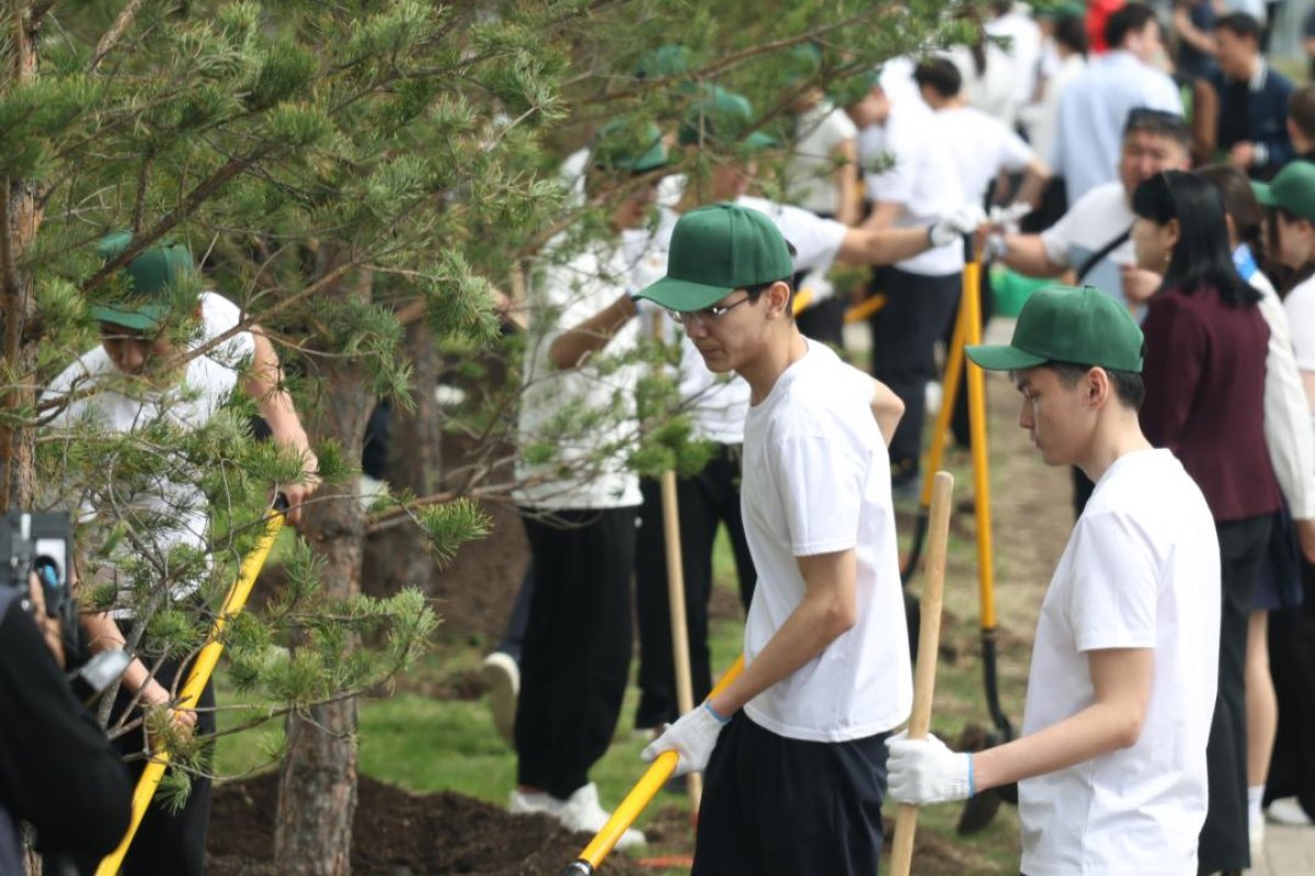 Более 100 тысяч выпускников школ приняли участие в эко-челлендже