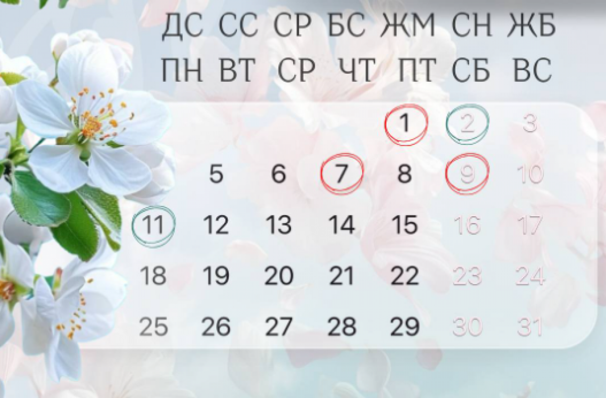 Как будут работать ЦОНы и спецЦОНы на майские праздники