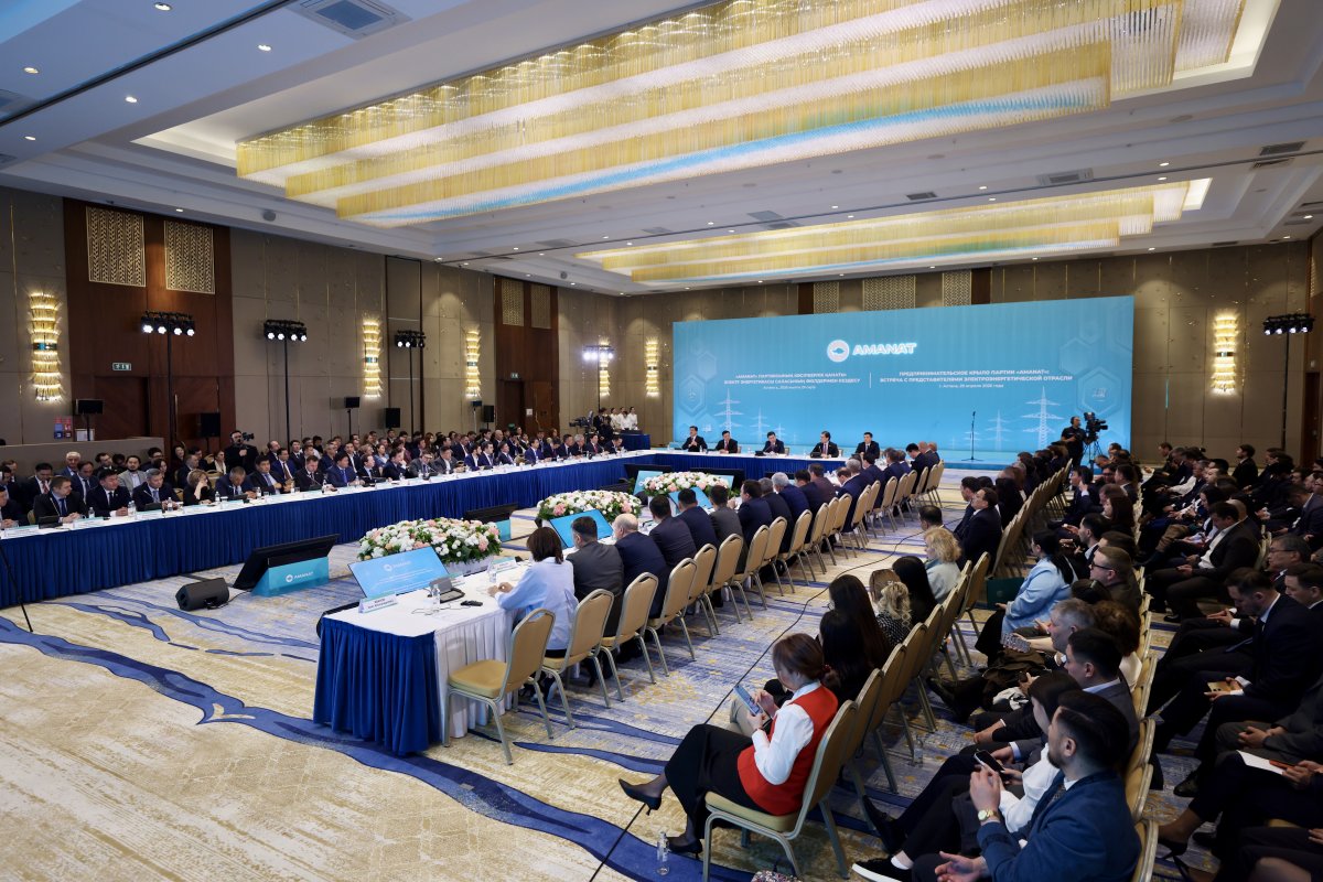 Справедливость тарифной политики и социальная устойчивость – о чем говорили энергетики на площадке партии AMANAT