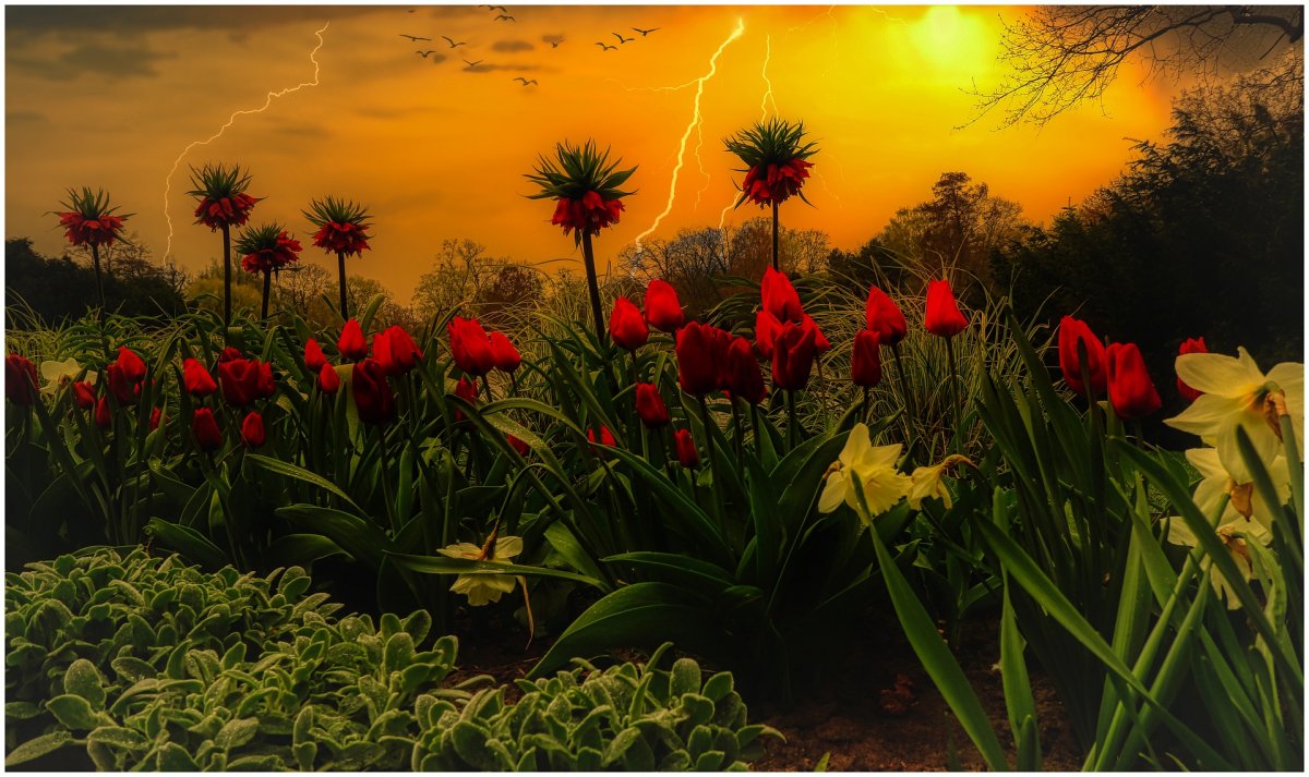 Казахстану прогнозируют грозы, град и шквалы