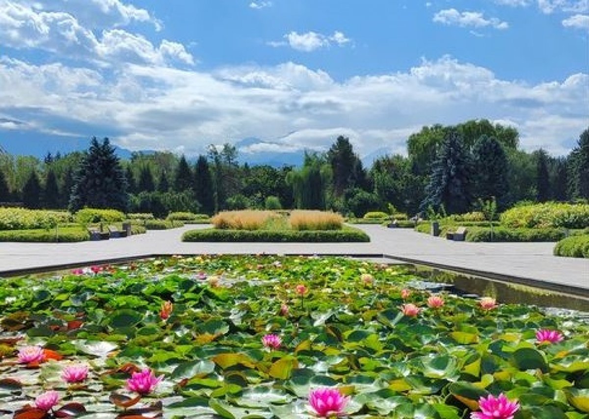 Ботанический сад Алматы закроется на один день