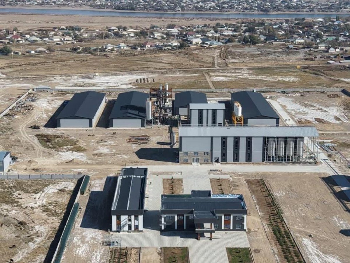 Крупнейший в Центральной Азии завод по переработке кукурузы строят в Туркестанской области