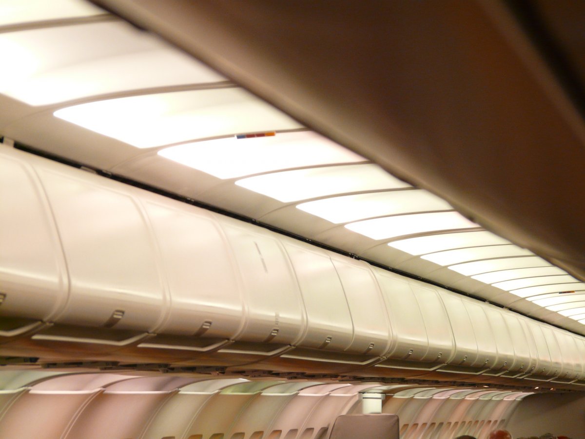 Домбру и кобыз разрешили брать бесплатно в ручную кладь в самолете