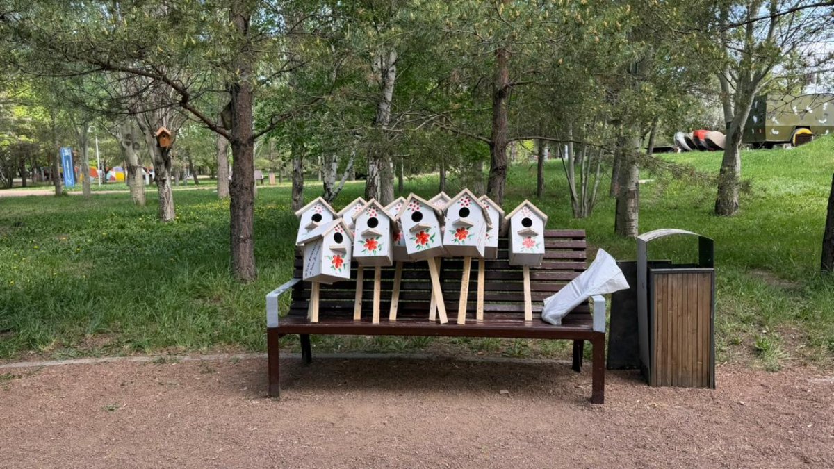 "Таза Қазақстан": в парке "Жетысу" установили скворечники для птиц