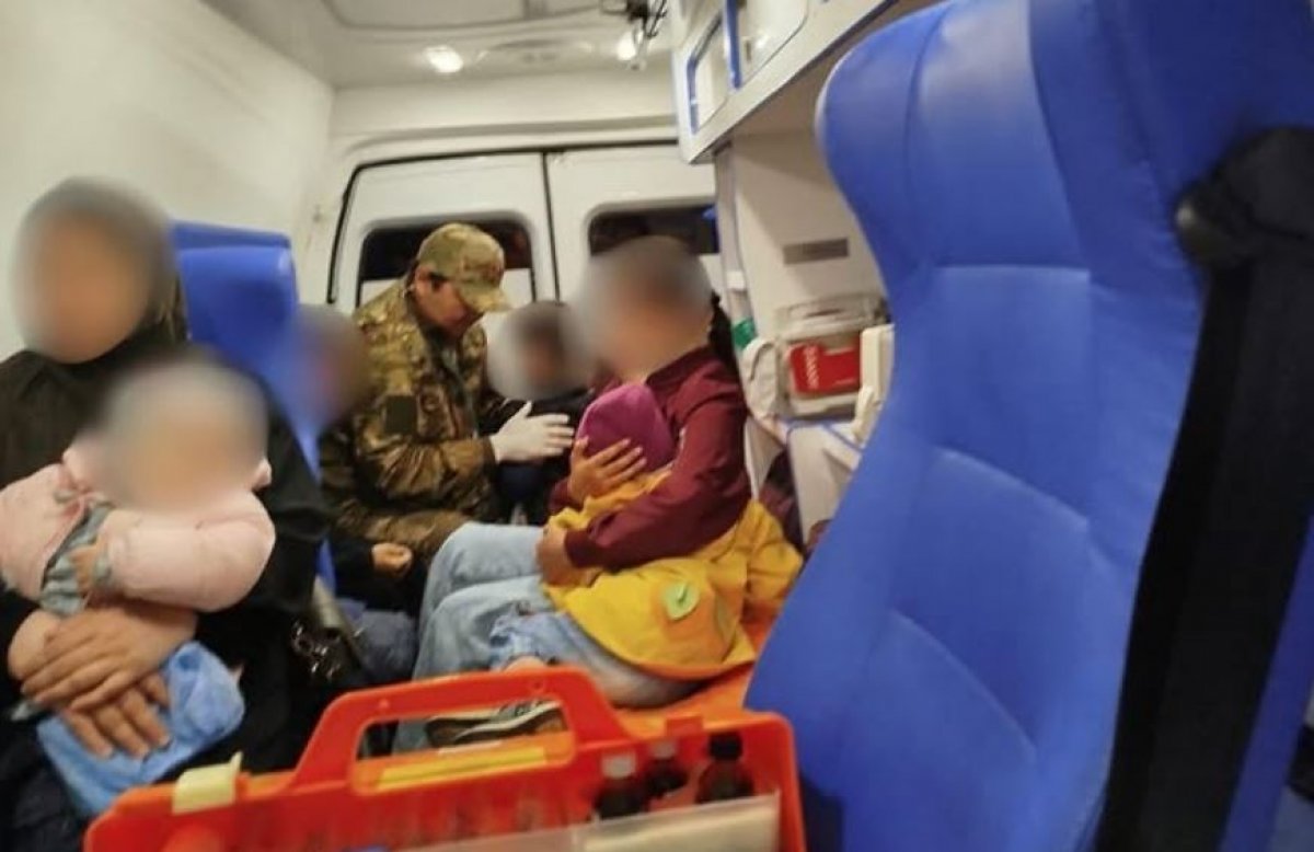 Шесть человек пострадало в ДТП с лошадью на трассе Кызылорда – Павлодар