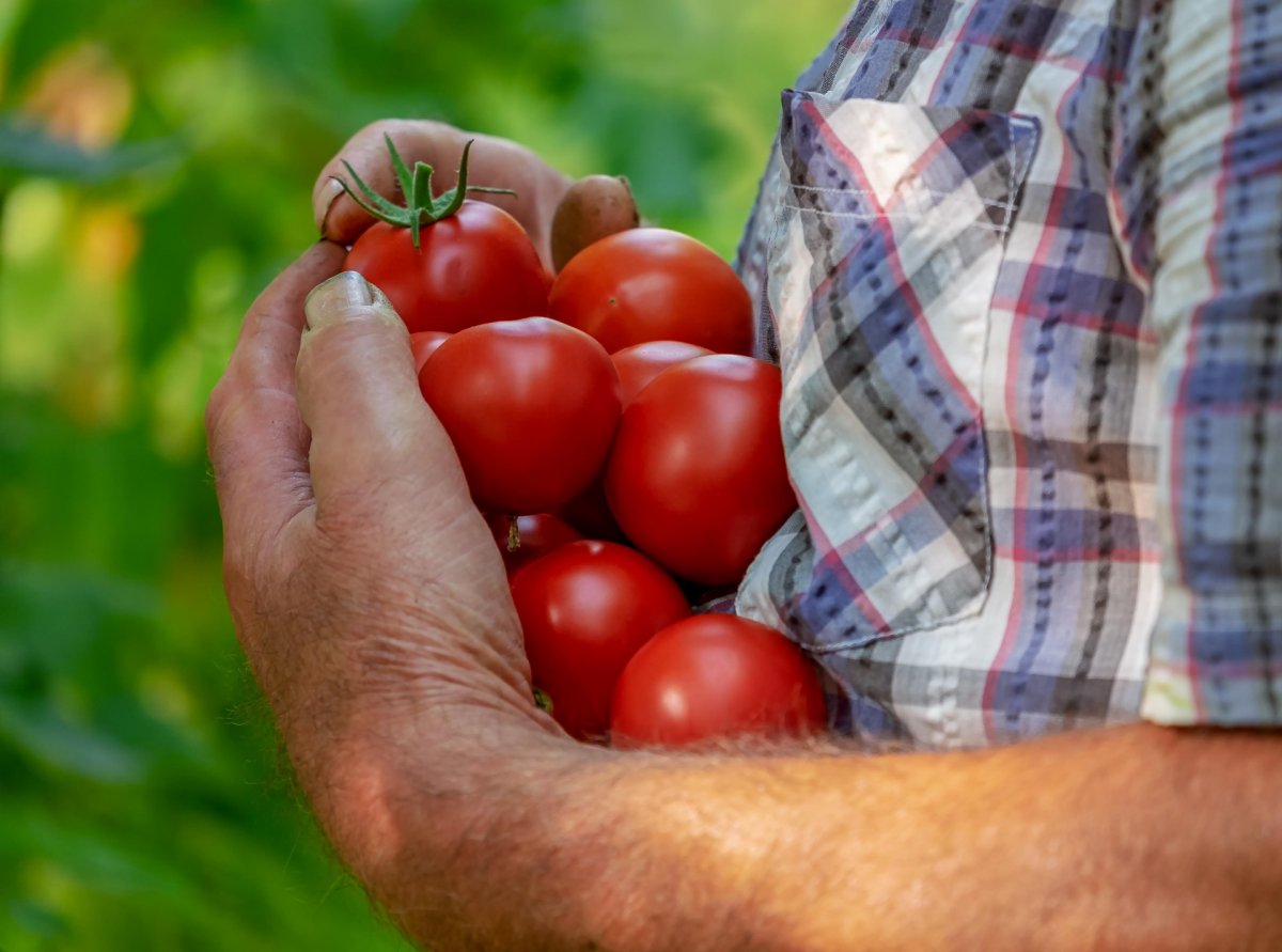 Где купить продукты подешевле в Астане