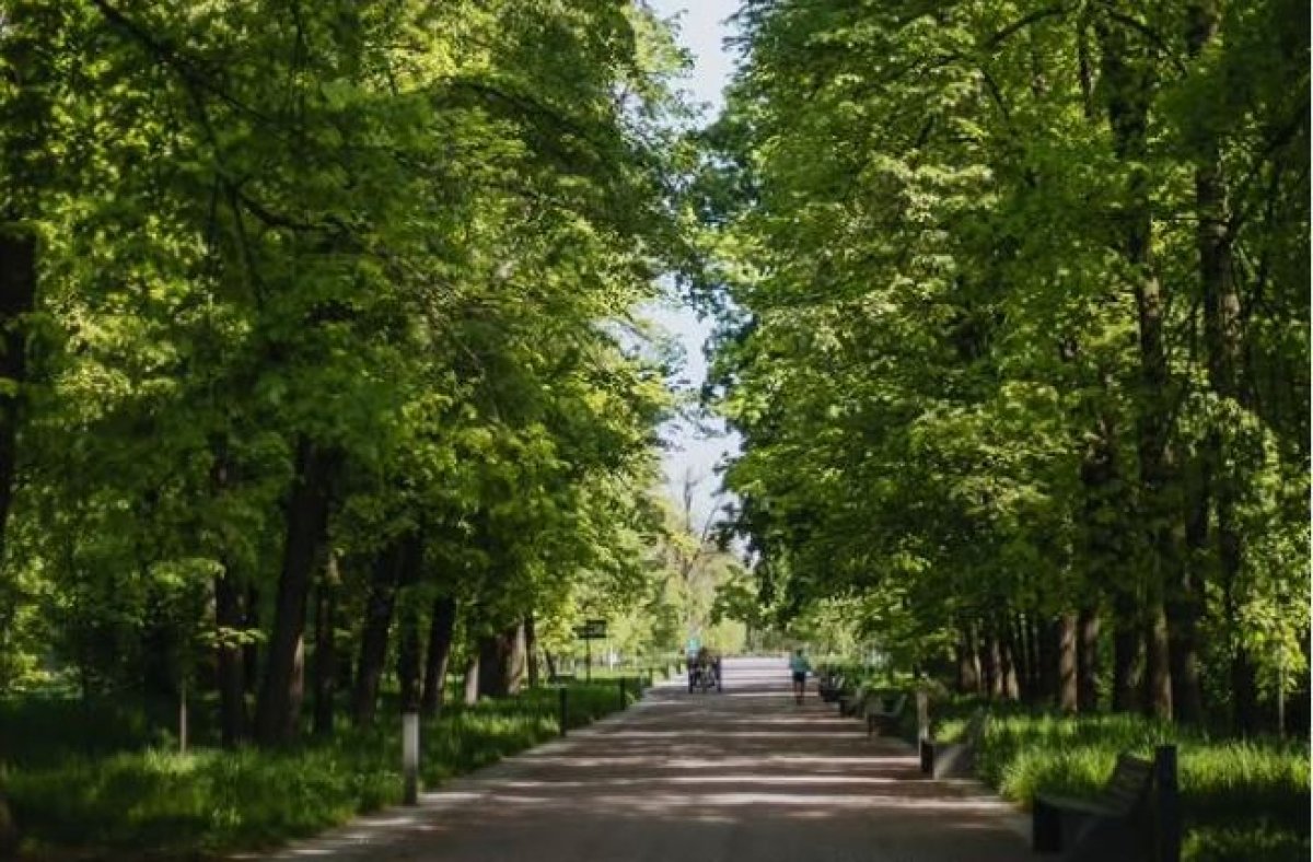Главный ботанический сад Алматы закроют для посетителей