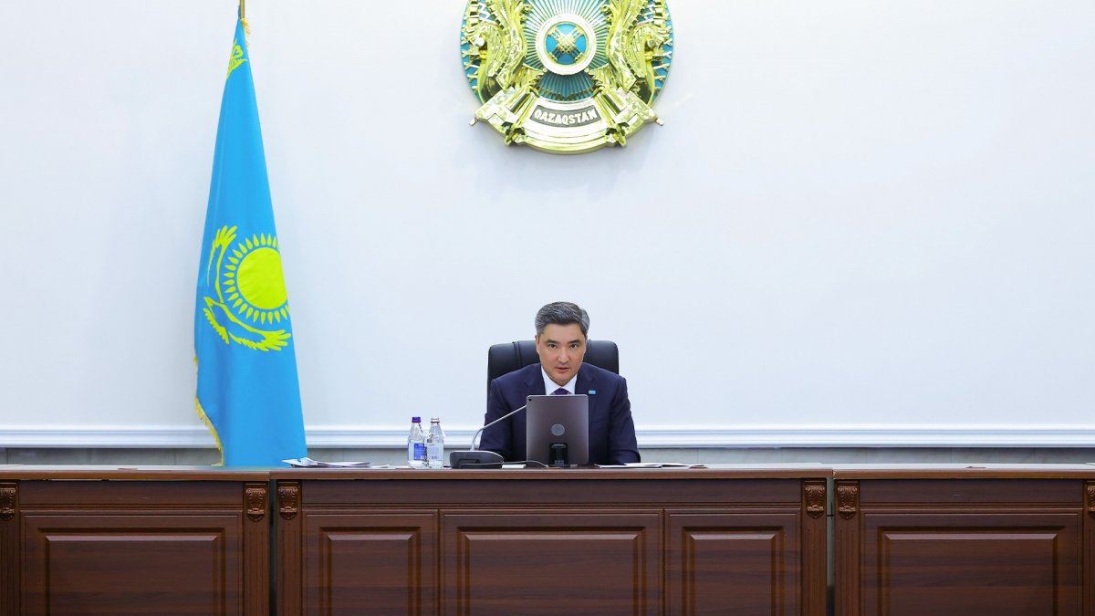 Борьба с саранчой, дефицит воды и пожароопасность: Олжас Бектенов дал ряд поручений министерствам на совещании в СКО