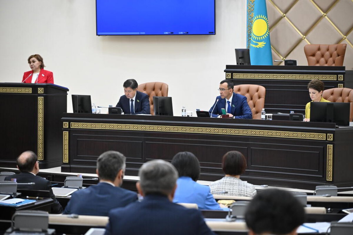 Депутаты Сената рассмотрели закон об амнистии