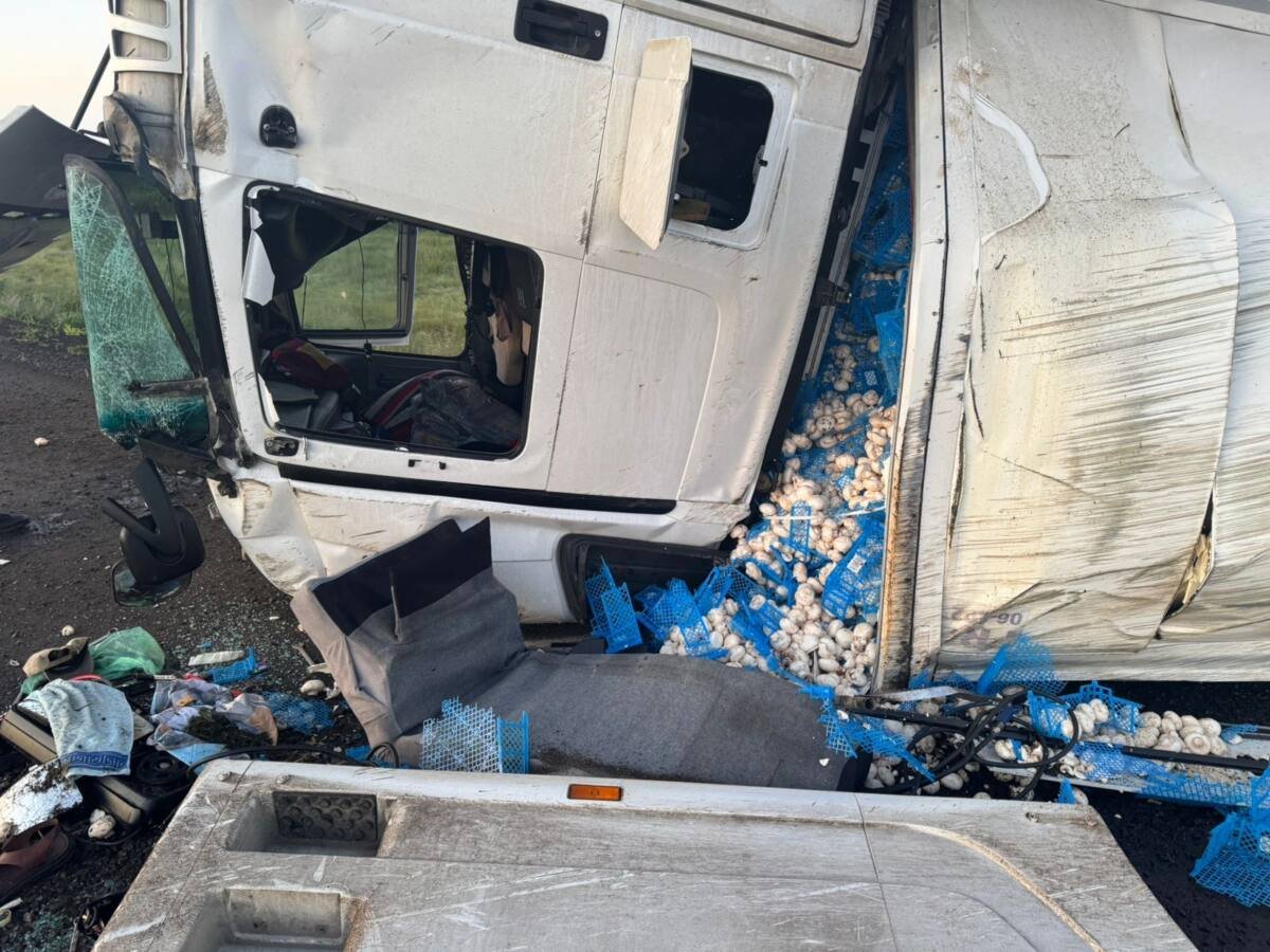 Перевозивший 17 тонн грибов грузовик опрокинулся в Акмолинской области