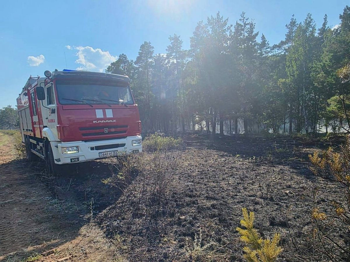Молния подожгла лесную подстилку в Акмолинской области