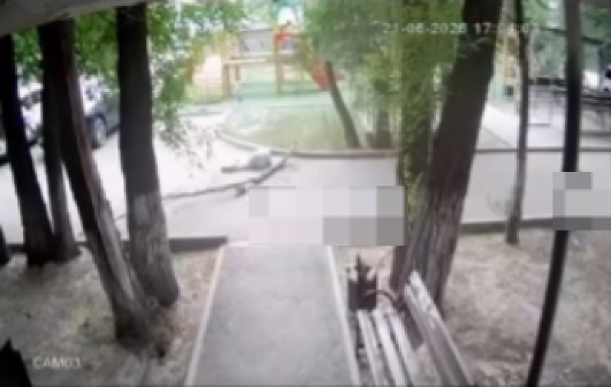 Ветка рухнула прямо на голову девушки в Жетысу (ВИДЕО)