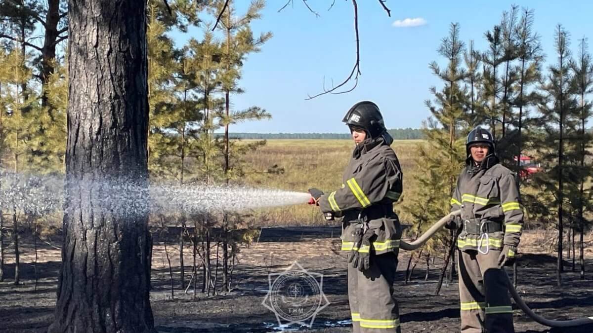 Грозовые разряды стали причиной трех лесных пожаров в Казахстане