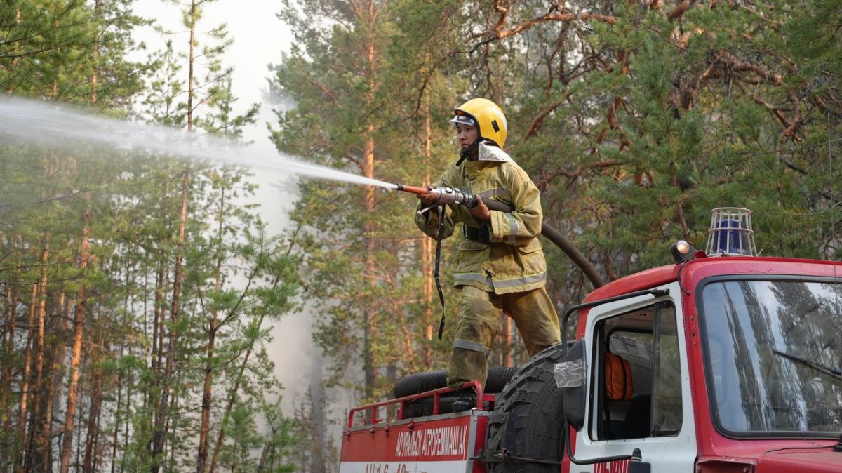 Три лесных пожара вспыхнули в гослесфонде Казахстана за сутки