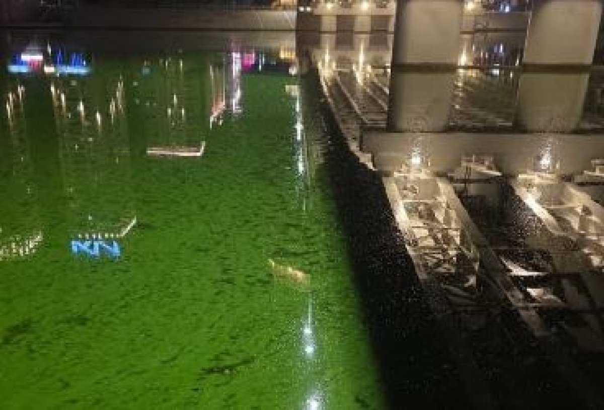 Ядовито-зеленая вода в Есиле напугала астанчан