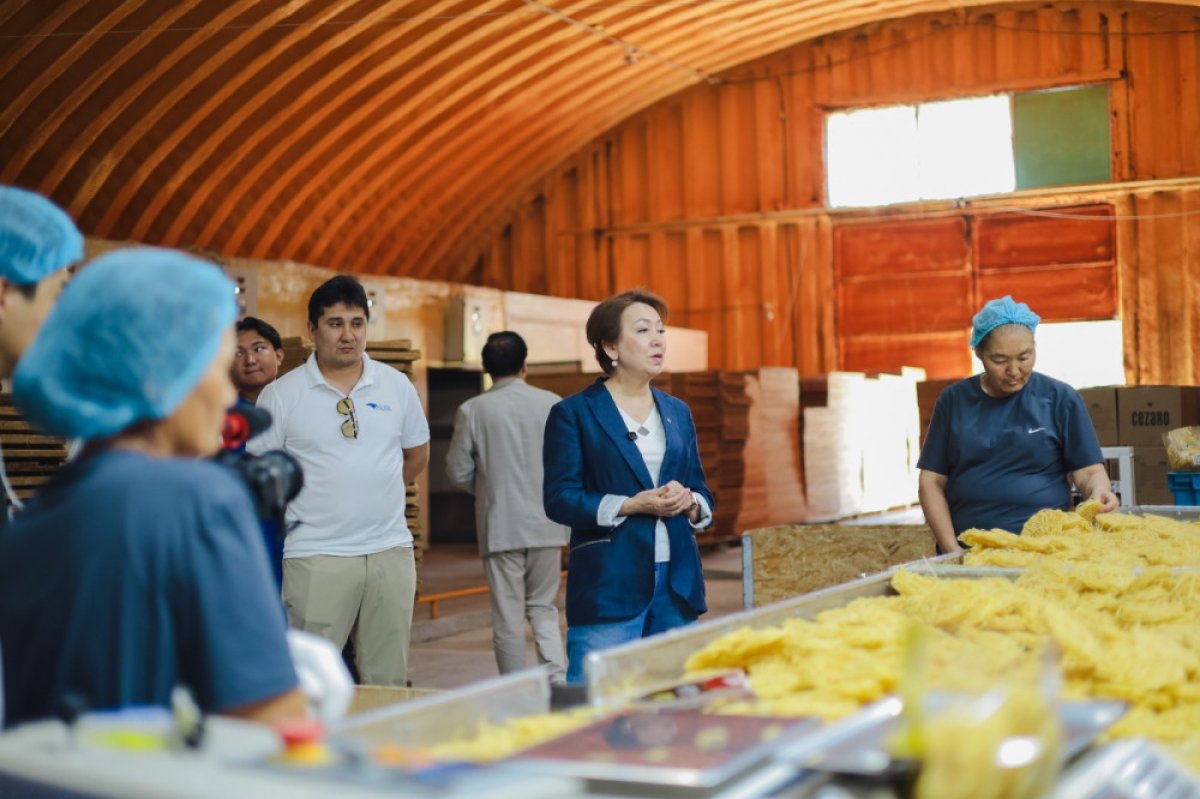 Партия "Ак жол" провела встречу с коллективом ТОО "ANSAR FOODS" в Алматинской области