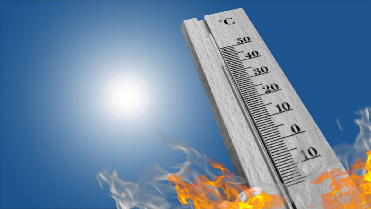 Погодный удар: 40-градусная жара накроет Шымкент