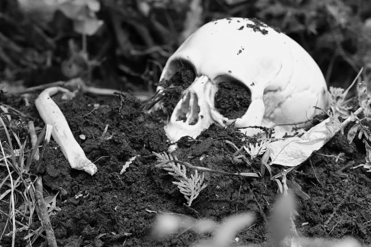 Ученые нашли скелет с более чем 160 переломами: возможная жертва средневекового оружия в Шотландии