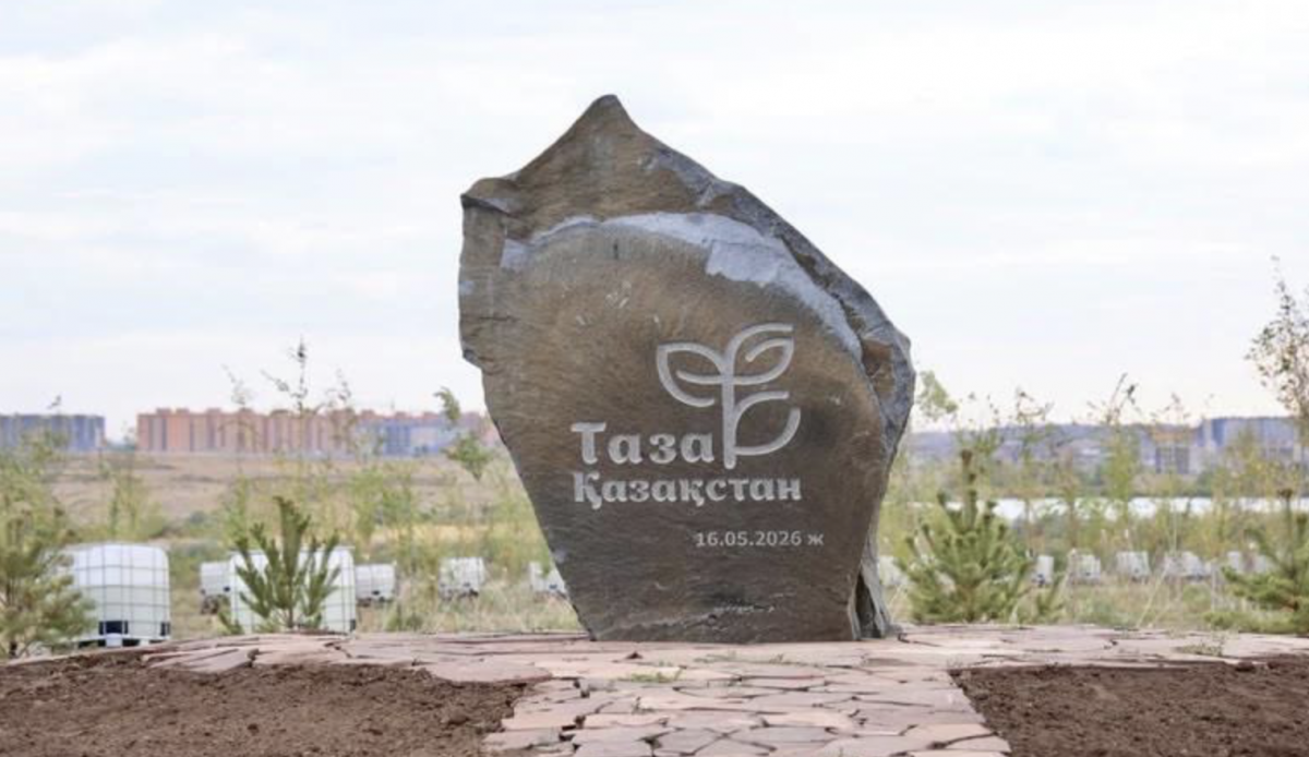 Будущее пустило корни