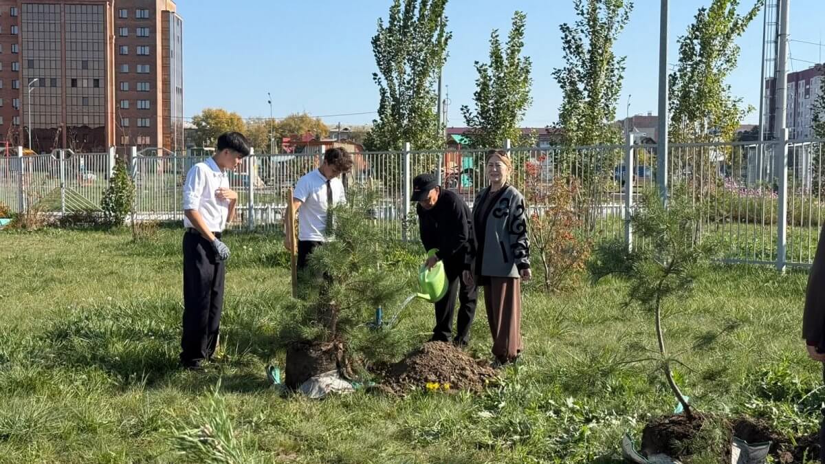 Аллея памяти