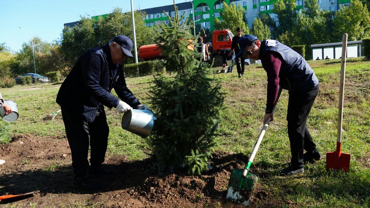 Чистота начинается с ответственности