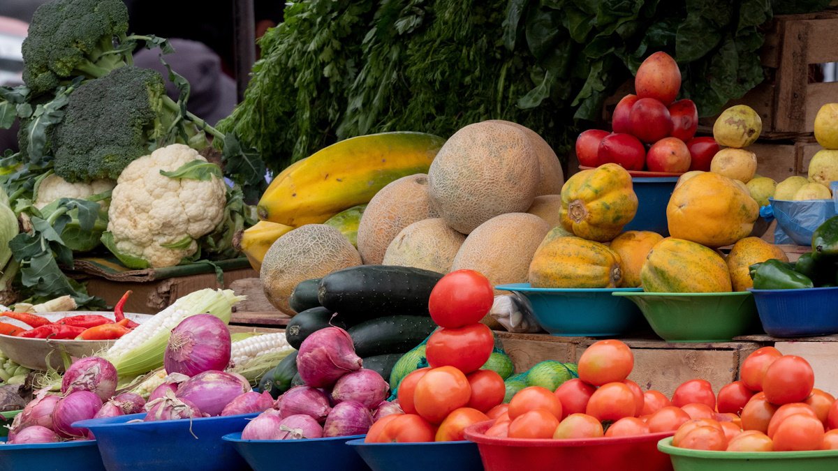Жители Астаны смогут купить свежие продукты напрямую от фермеров