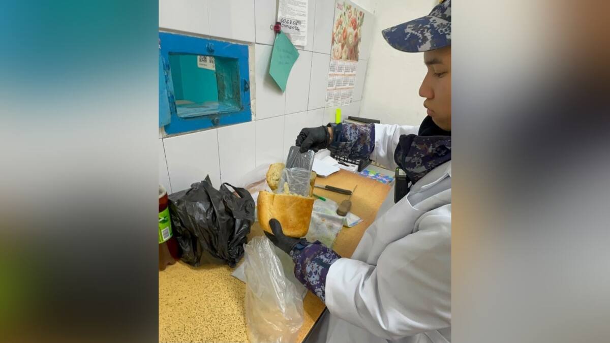 Хлеб с начинкой из гаджета: в павлодарском учреждении УИС пресекли необычную передачку