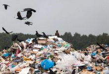 Мы хотим перемен! Или как очистить от мусора наши города?