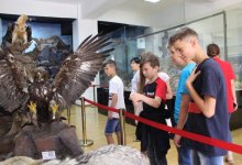 Для воспитанников детского дома была проведена экскурсия по музею