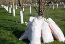 Касым-Жомарт Токаев: Превратим страну в территорию чистоты