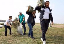 #Birge #TazaQazaqstan: 16 тонн мусора собрали жители столицы