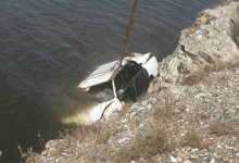 В Костанайской области водитель съехал с обрыва в реку