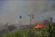 В Алматы потушили пожар на Коктобе