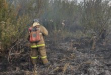 Природный пожар в Кызылжарском лесничестве потушен (ФОТО)