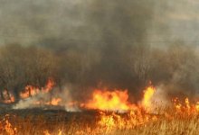 Режим ЧС объявлен в связи с пожаром в государственном природном парке Каркаралинска